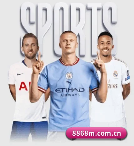 8868体育 APP