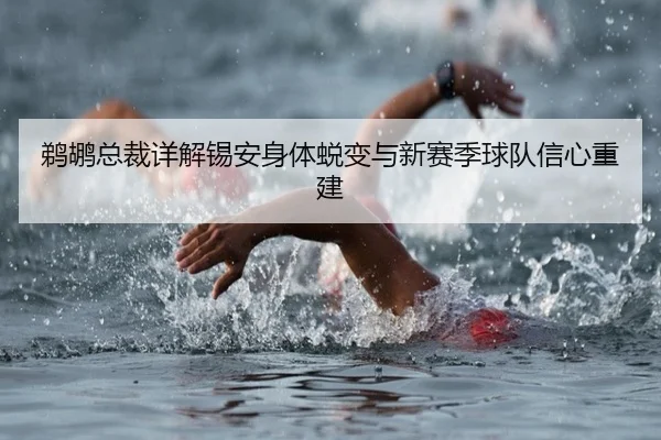 鹈鹕总裁详解锡安身体蜕变与新赛季球队信心重建